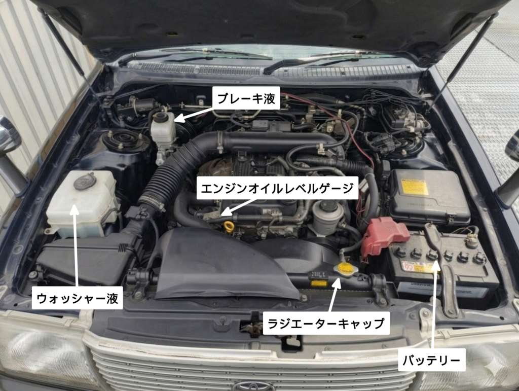 コンフォート